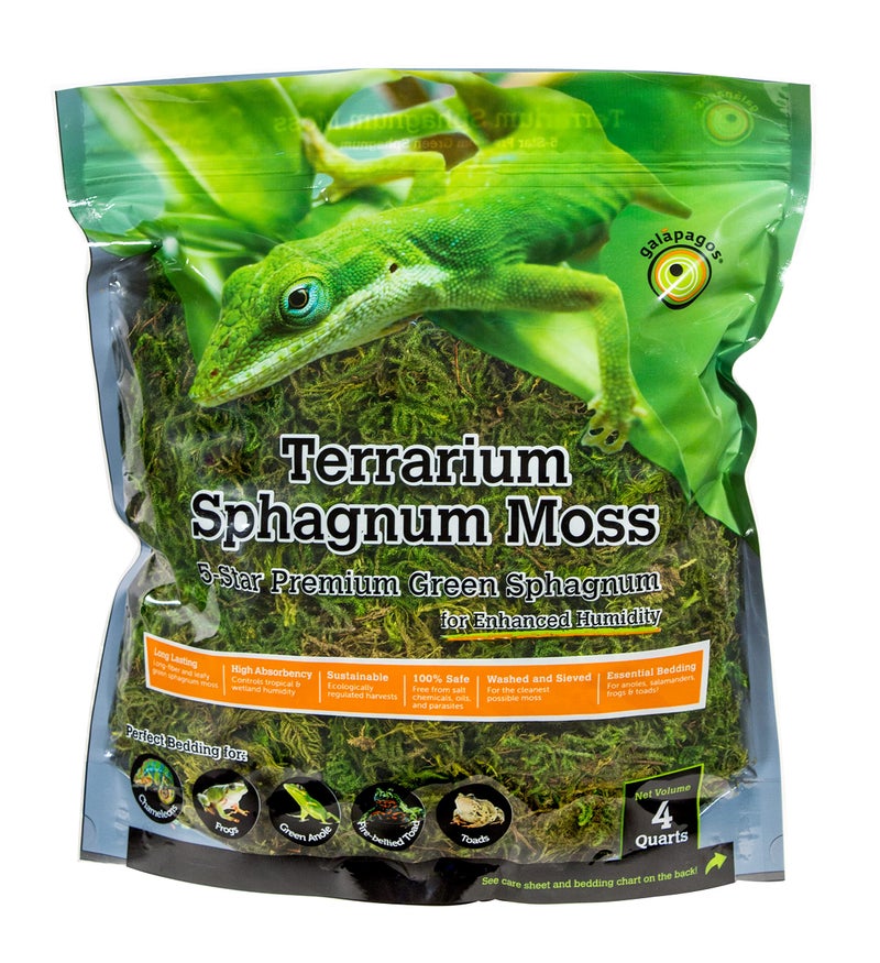 Galapagos GalÃ¡pagos (05213) Terrarium Green Sphagnum Moss, Natural, 4 Quart - Image 1